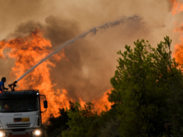 Wildfires in Greece: The real arsonists