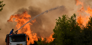 Wildfires in Greece: The real arsonists