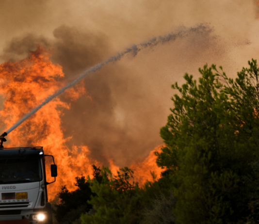 Wildfires in Greece: The real arsonists