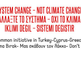 6/11: All out against climate change and environmental catastrophe!