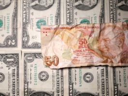 A New Era in the Turkish Economy: A collapsing “giant”