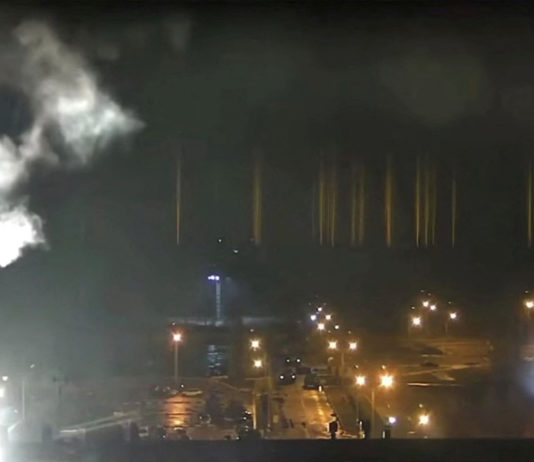 The war in Ukraine and “green” nuclear energy