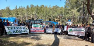 The struggle to save Akbelen Forest in Turkey