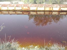 Cyprus: June 5, World Environment Day – No more mining – Yes to life!
