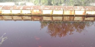 Cyprus: June 5, World Environment Day – No more mining – Yes to life!