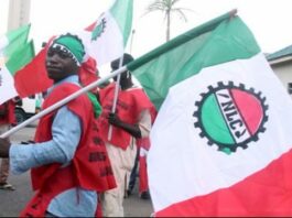 WYSN Nigeria: We support the NLC days of action for ASUU strike