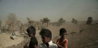 Disaster capitalism: war, crisis and hunger for planet earth