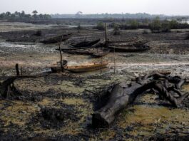 The Niger Delta destruction continues with its “clean-up attempt”