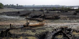 The Niger Delta destruction continues with its “clean-up attempt”