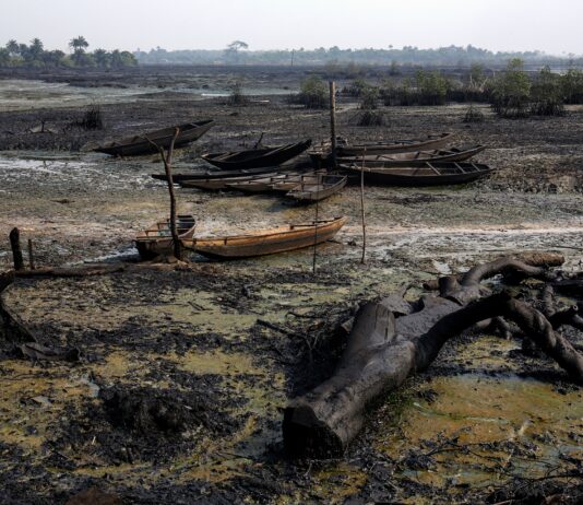 The Niger Delta destruction continues with its “clean-up attempt”
