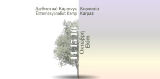 Fighting for a new Left in Turkey, Greece, Cyprus – report from the Internationalist Camp in Cyprus