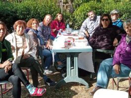 Protecting the Grove: The Experience of the Validebag Defense in Turkey