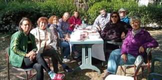 Protecting the Grove: The Experience of the Validebag Defense in Turkey