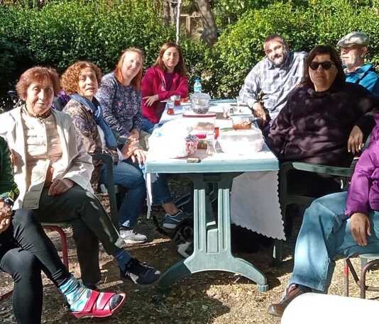 Protecting the Grove: The Experience of the Validebag Defense in Turkey