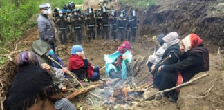 The Ikizdere resistance in the Black Sea region of Turkey: We make tea, not stones!