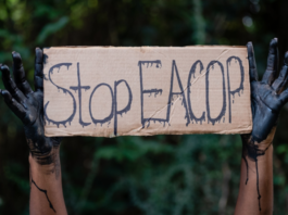 East African oil pipeline EACOP: catastrophic for the environment and human lives