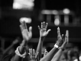 The Mobile Balance: Achieving Democratic Centralism