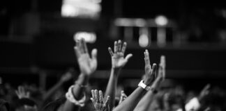 The Mobile Balance: Achieving Democratic Centralism