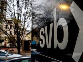 Silicon Valley Bank failure: a precursor of a banking sector collapse?