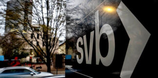 Silicon Valley Bank failure: a precursor of a banking sector collapse?