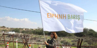 20 years since the opening of the first checkpoint – the struggle for the reunification of Cyprus continues