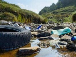 World Environment Day: the ongoing destruction and capitalist hypocrisy