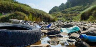 World Environment Day: the ongoing destruction and capitalist hypocrisy