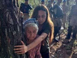 Call for international solidarity to stop the massacre in Akbelen forest in Turkey!