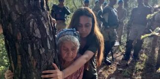 Call for international solidarity to stop the massacre in Akbelen forest in Turkey!