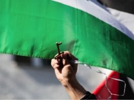 Israel/Palestine: what can socialists do? by Roger Silverman