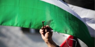 Israel/Palestine: what can socialists do? by Roger Silverman