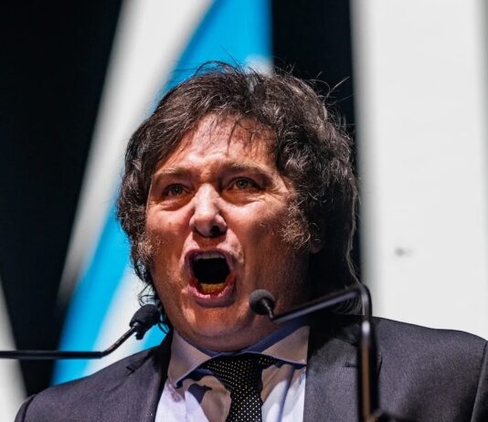 Argentina: from Pink Tide to reactionary wave
