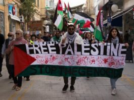 Interview with United for Palestine in Cyprus: We will not stop protesting for the liberation of Palestine