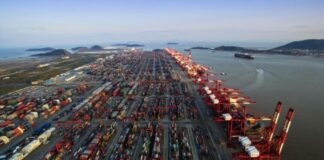 The Dragon and Its Shadow