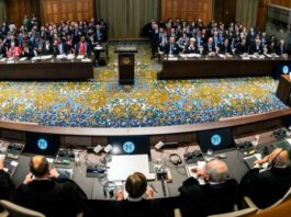 Can the International Court of Justice stop the massacre in Gaza?