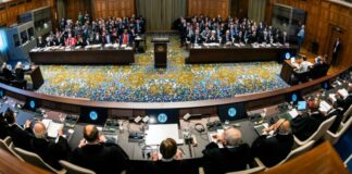 Can the International Court of Justice stop the massacre in Gaza?