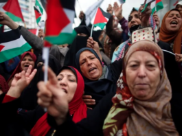 The Feminist Movement and the Struggle for a Free Palestine
