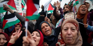 The Feminist Movement and the Struggle for a Free Palestine