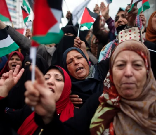 The Feminist Movement and the Struggle for a Free Palestine