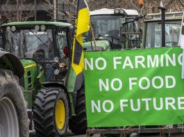 Peasant Wars in Europe: How Should We Approach Peasant Resistances?