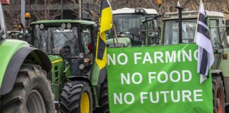 Peasant Wars in Europe: How Should We Approach Peasant Resistances?