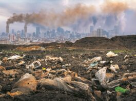 Climate Change and the Cost-of-Living Crisis