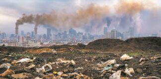 Climate Change and the Cost-of-Living Crisis