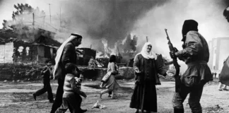 A State Afraid to Take a Census: Lessons from Lebanon