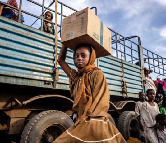 Sudan on the Cliff Edge