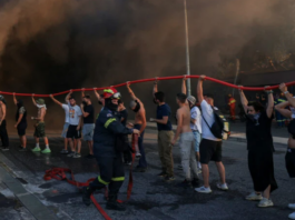 Solidarity statement by environmental movements in Turkey for the wildfires in Greece