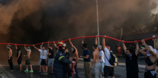 Solidarity statement by environmental movements in Turkey for the wildfires in Greece