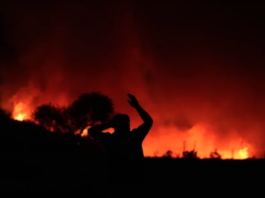 Wildfires in Izmir and Attica: Environmental Disasters Know No Borders!