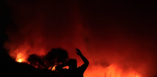Wildfires in Izmir and Attica: Environmental Disasters Know No Borders!