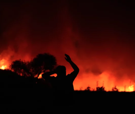 Wildfires in Izmir and Attica: Environmental Disasters Know No Borders!